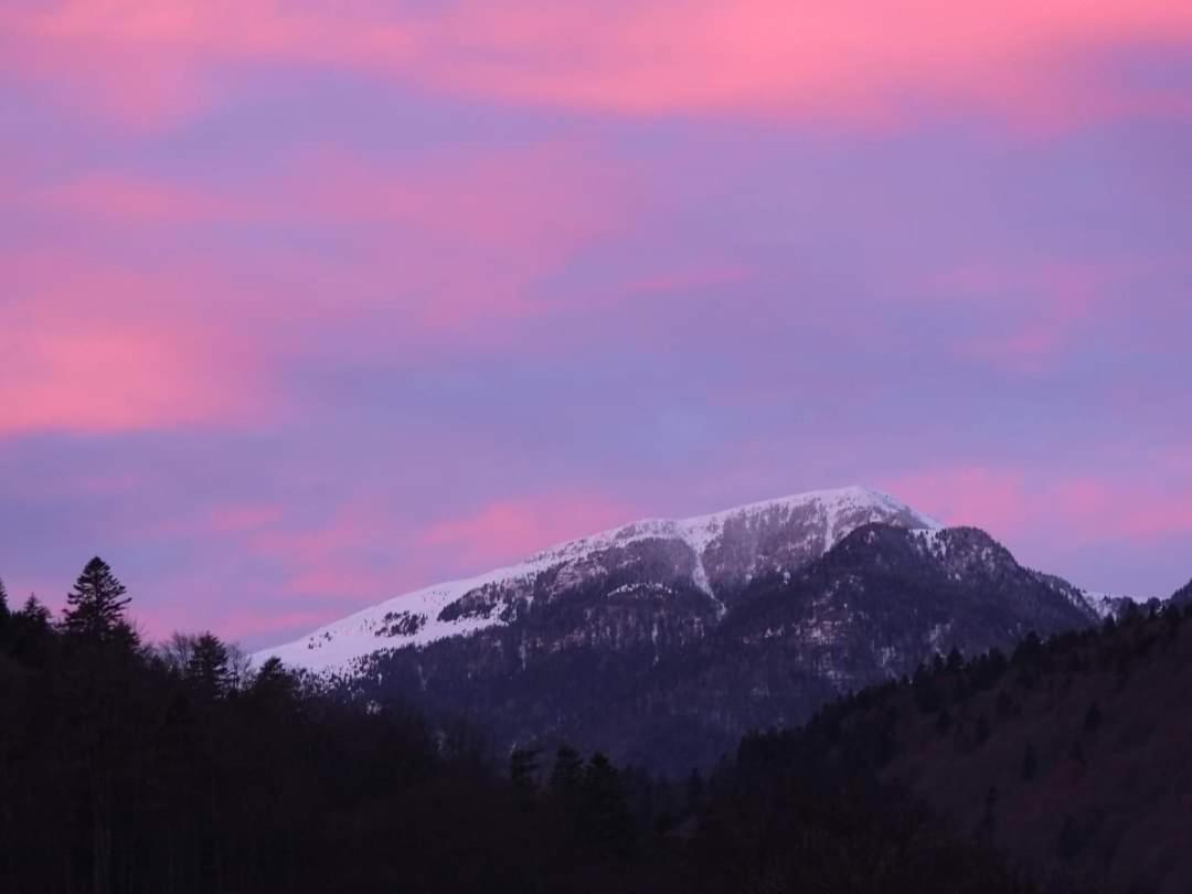 Sinaia Alpineview Residence エクステリア 写真