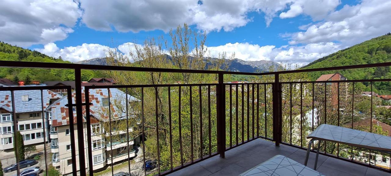Sinaia Alpineview Residence エクステリア 写真